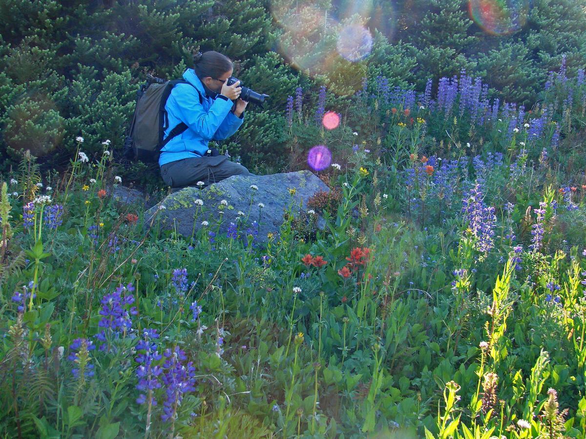Eagle'S Nest Resort Anahim Lake Exteriör bild